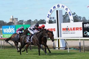 Horsham betting tips, quaddie picks & value bets | 20/09/2021