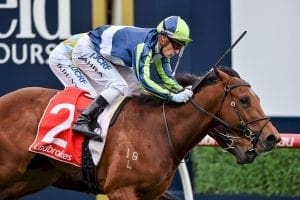 Merchant Navy scores first-up at Caulfield