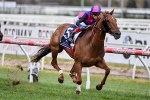 Vega Magic wins Group One Memsie Stakes