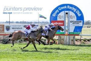 Stony Creek betting preview & quaddie tips | January 3, 2023