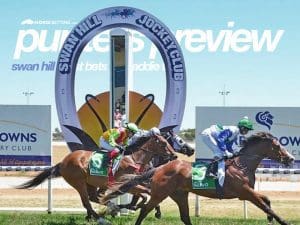 Swan Hill racing preview