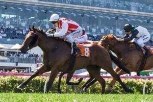 Shoals wins at Flemington