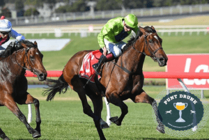 Punt Drunk : Tralee Rose Out To A Flying Start At Bagot Handicap!