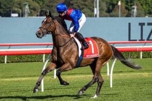 Zaaki wins AD Hollindale Stakes