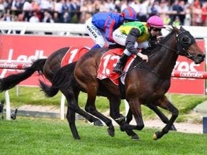 The Chosen One secures Caulfield Cup start