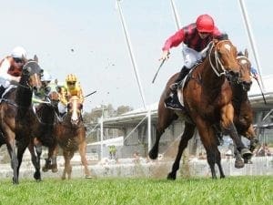 Lees-trained colt on Song for Guineas tilt