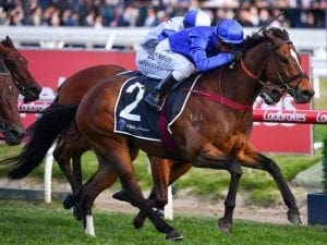 Trekking stakes Everest claim in Schillaci