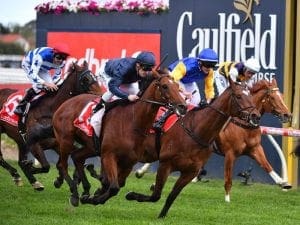 Cox Plate beckons for Cape Of Good Hope