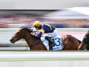 Tofane claims Group Three win at Caulfield