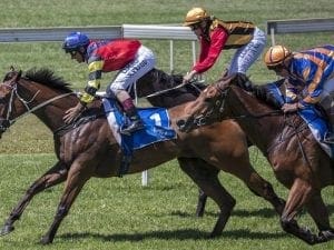 Snitz continues climb to $1.3m Kosciuszko