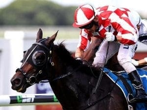 Veteran Glendara ready to fire at Doomben