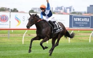 Duais is ready for the Caulfield Cup