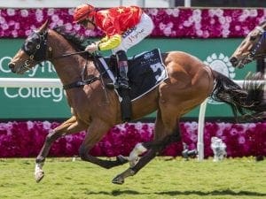 Snowden stable strikes in Eagle Farm win