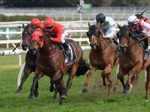 Redzel draws barrier one in Everest