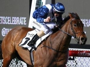 Viddora gets Damion Flower's Everest slot