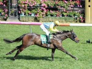 Blazer Stakes return for Bring Me Roses