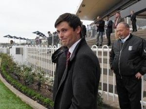 Well-bred Mercury set for Flemington debut