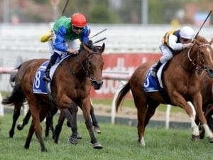 Bonneval secured by Waikato Stud