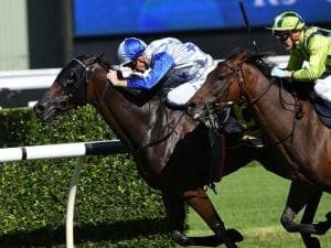 Sir Charles Road on Caulfield Cup path