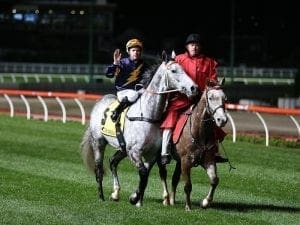 Chautauqua retired after Valley refusal