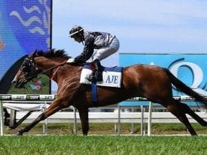 Houtzen to chase Manikato Stakes