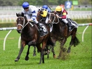 Kaonic to make stakes debut at Flemington