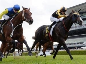 Redzel, Trapeze Artist clash in Premiere