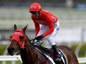 Redzel wins trial ahead of G1 Sprint