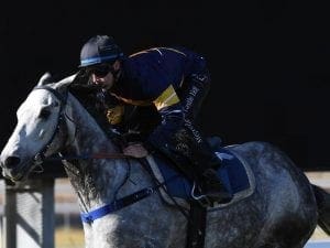 Chautauqua nominated for Melbourne sprints