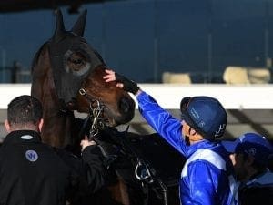 Winx impresses, Chautauqua fails to jump