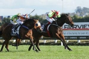 Star sprinter Julius retired after injury