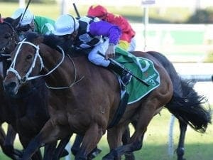 Patrick Erin wins the Group 1 Metropolitan