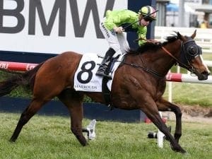 Speed battle assured for G1 Moir Stakes