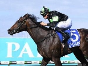 Brisbane colt Sesar to make Sydney debut