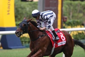 Purton rides quartet, Seasons Wit extends winning streak at Happy Valley