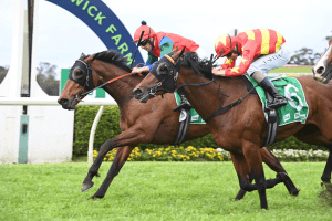 Sharp 'N' Smart digs deep to claim Group 3 Gloaming Stakes