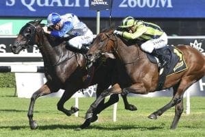 Bendigo launching pad for Sir Charles Road