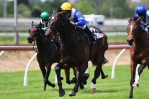 Wallace & Cooksley juveniles impress at Pukekohe