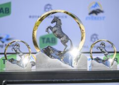 I Wish I Win holds favouritism after Everest barrier draw