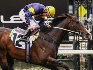 Barrier concern for Grunt in G1 Underwood