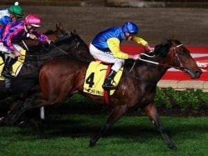 Leonardi Da Hinchi claims G2 Stutt Stakes