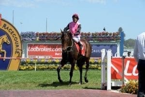 Flying Artie to clash with Extreme Choice after Blue Sapphire win