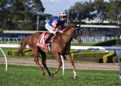 Portelli confident Encap can bounce back in The Gong