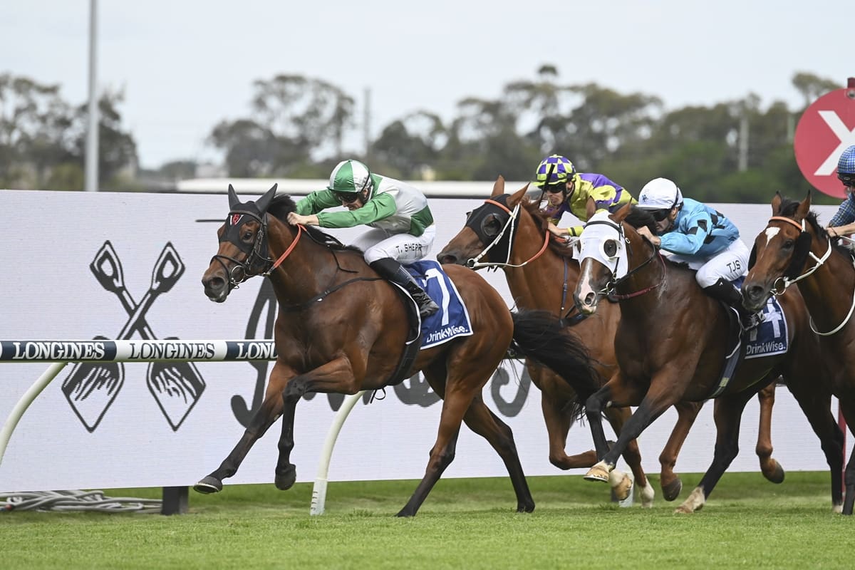 Festival Stakes Day Replays 2024