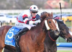 Jusufovic confident in Pinstriped ahead of Cranbourne Cup