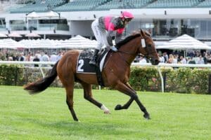 Hobart Cup winner, Aurora's Symphony