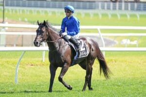 Kallos causes Rubiton Stakes boilover