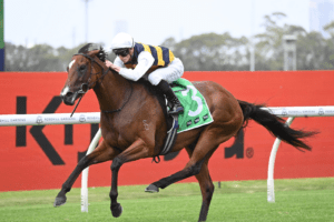 Lady Laguna brings up hattrick in Southern Cross Stakes