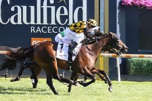 Heavily backed Probabeel wins Bellmaine Stakes at Caulfield