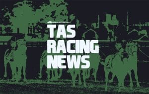 Tasmanian racing news